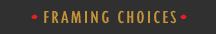 Framing Style Choices